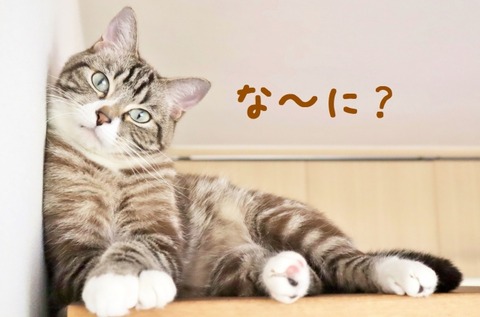 【投資】10年以上インデックス投資を続けて感じたインデックス投資のメリット