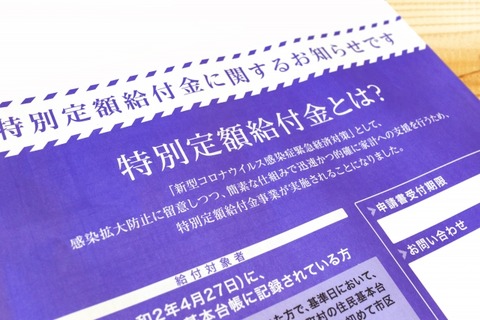 【副収入】特別定額給付金の申込書が届いた！