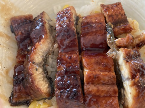 【節約】業務スーパーの冷凍ウナギを食べてみた