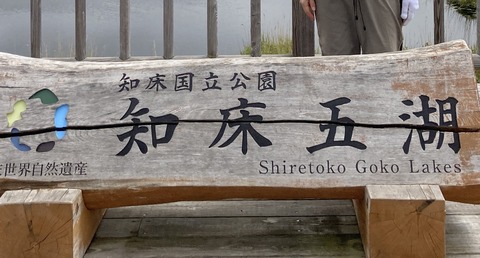 【旅行】知床旅行④:知床五湖トレッキングに行ったら熊の痕跡がすごかった