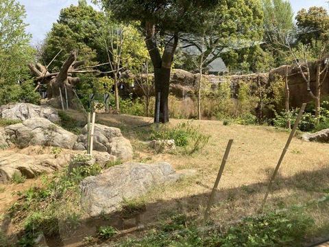 220413_上野動物園 078