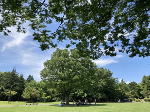 立川駅近くの昭和記念公園に行ってきた：花と広場と日本庭園と