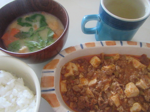 【投資】今月も粛々と投資信託の定額購入