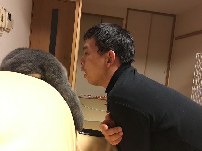 40