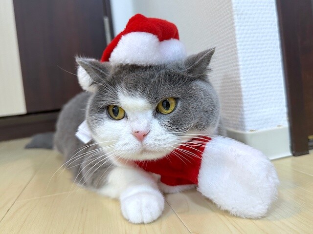 2022-12-16 21.07.56-1