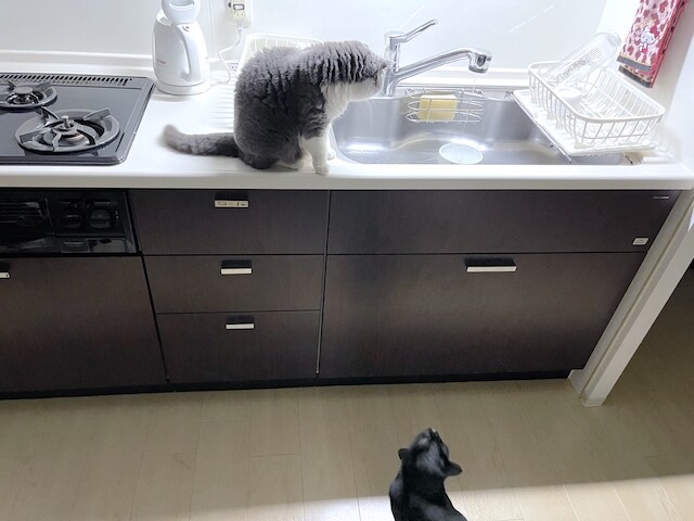 2023-05-29 23.39.58-1