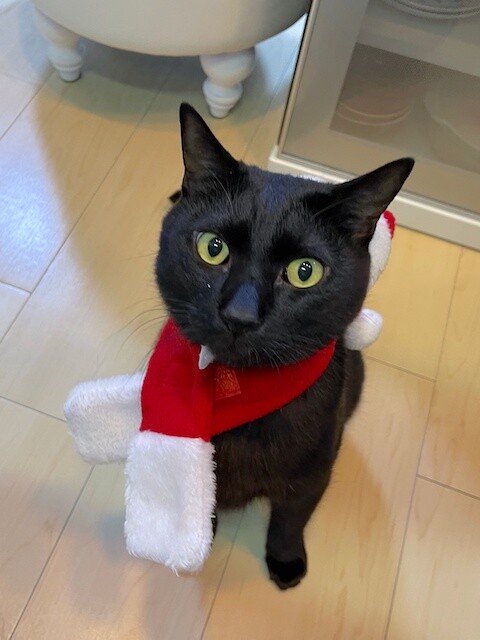 2022-12-16 21.08.36-2