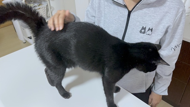 2024-12-03 20.37.29-1