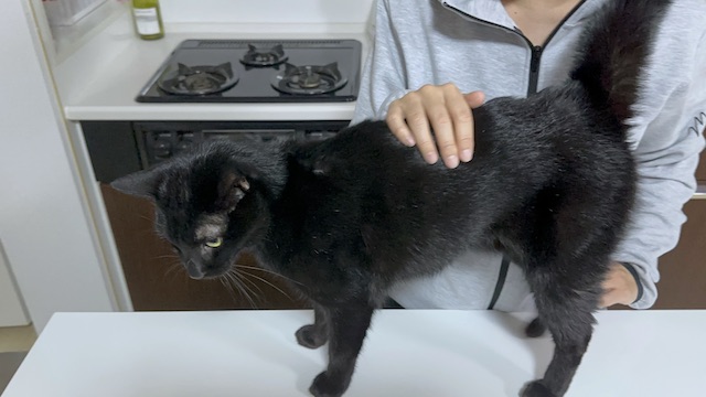 2024-12-03 20.37.35-1