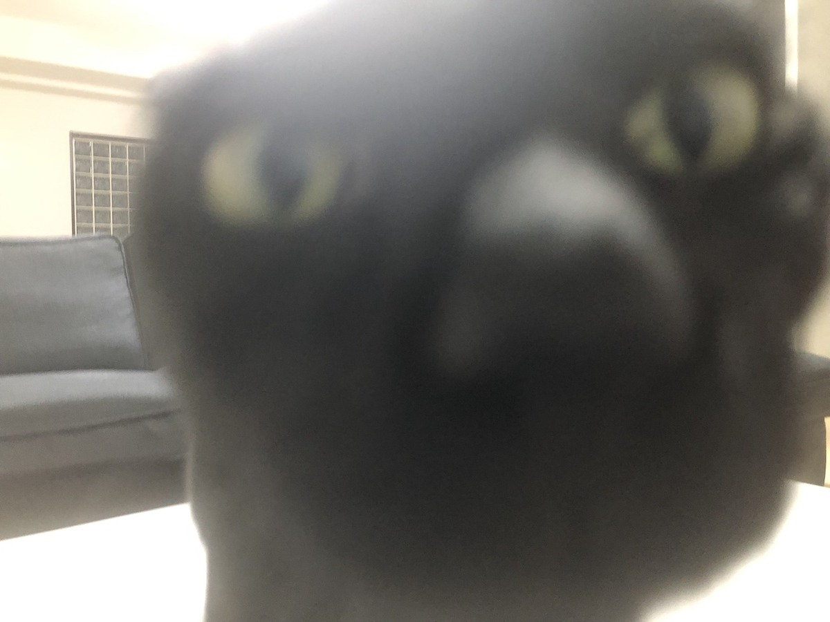 2019-09-24 22.00.37