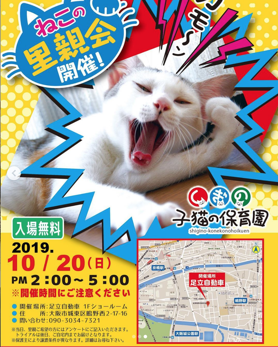 スクリーンショット 2019-10-19 15.35.30