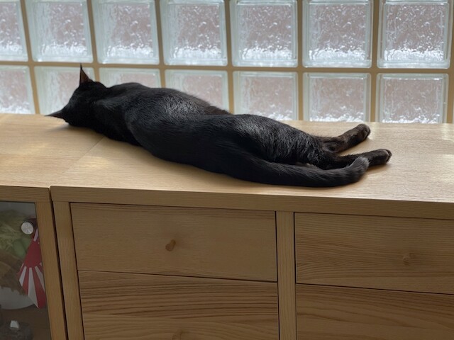 2021-05-02 08.08.27-1