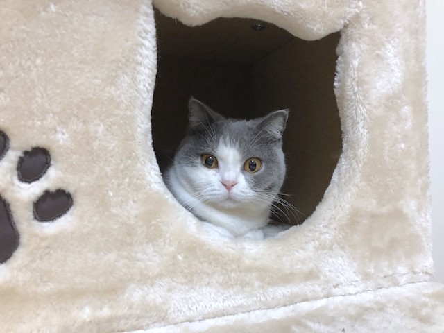 2018-11-17 22.39.37