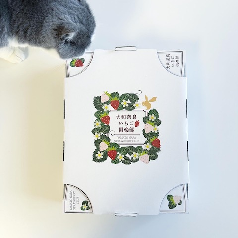 2022-12-18 14.17.00-3