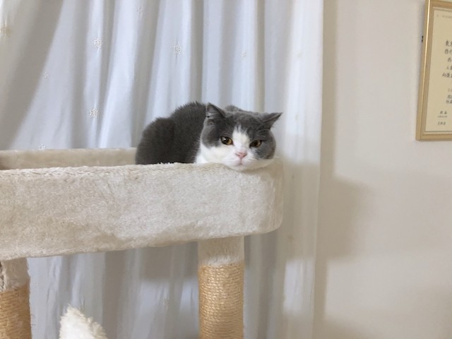 2018-11-03 20.33.03