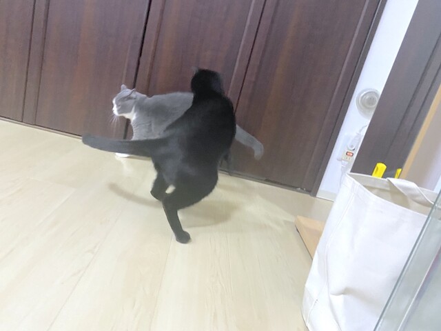 2022-01-09 21.25.32-1