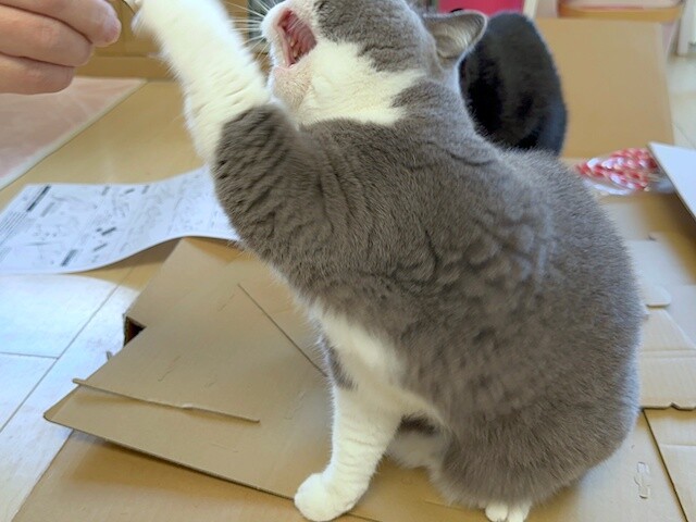 2024-12-29 11.05.23-1