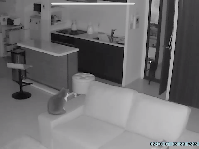 2024-02-28 19.08.04