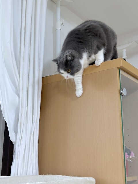 2024-03-25 17.08.25-1