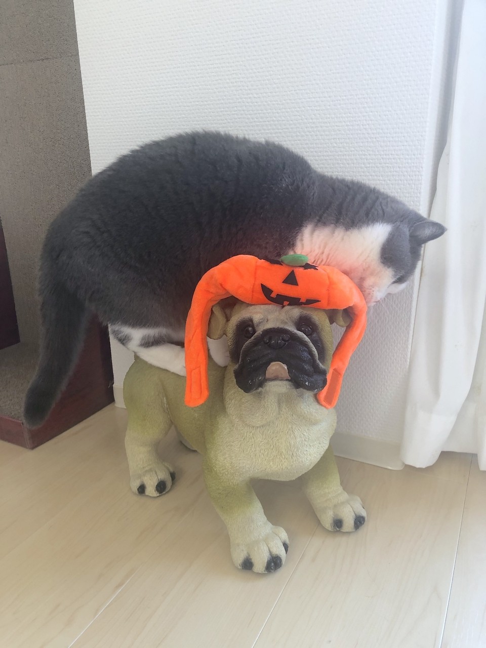 2019-10-09 12.57.12