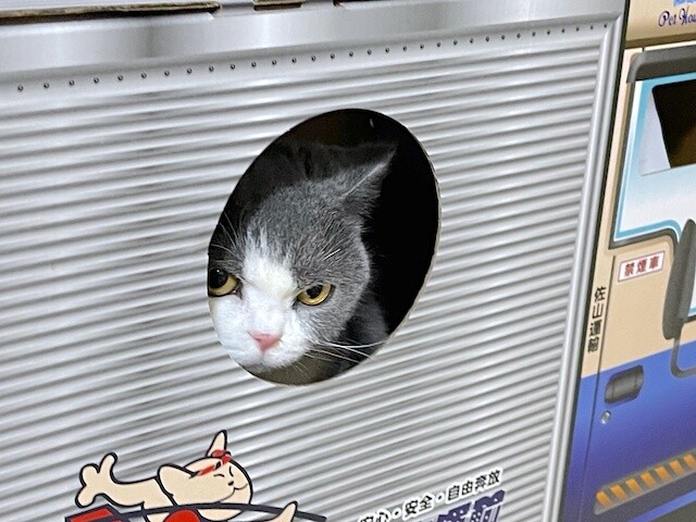 2023-09-24 18.32.58-1