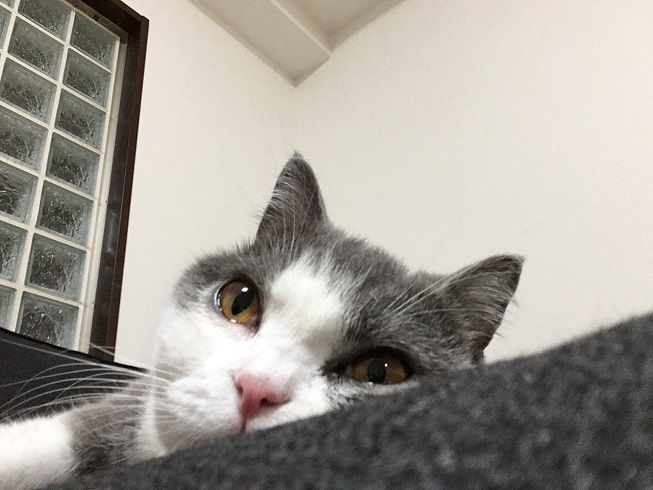 07