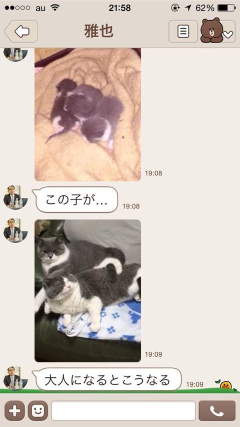 o0480085213301149834