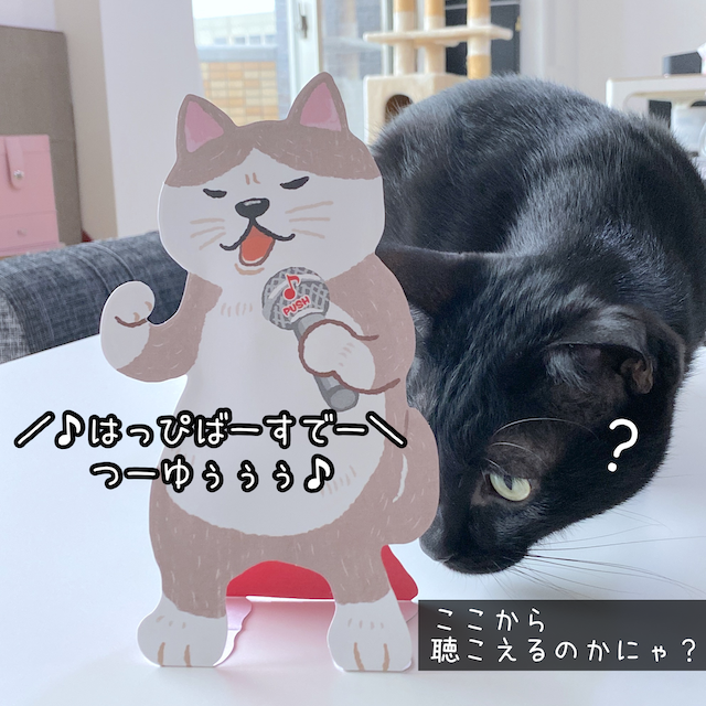 500円 最大75%オフ! 日本ホールマーク カード オルゴール 熱唱アニマルズ 演歌ネコ 757670 500円 最大75%オフ! 日本ホールマーク カード オルゴール 熱唱アニマルズ 演歌ネコ 757670