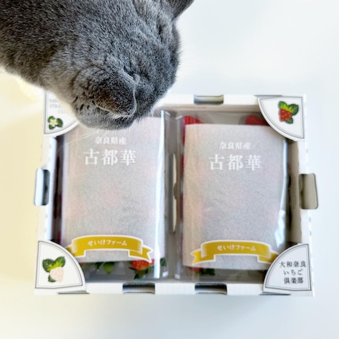 2022-12-18 14.17.00-2