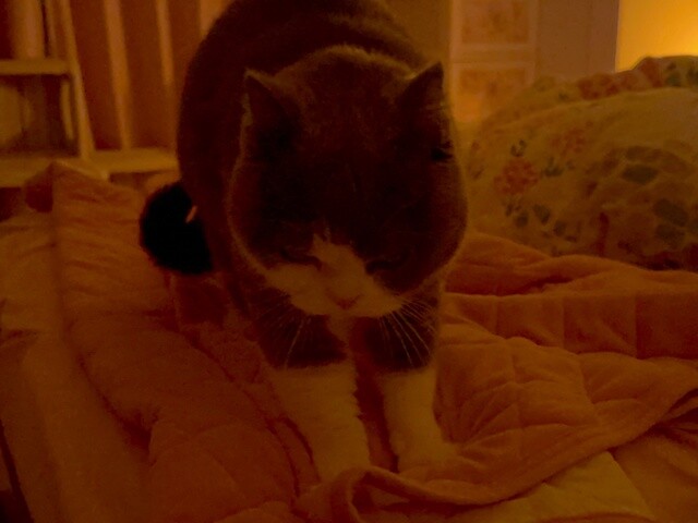 2024-02-15 23.54.29-1