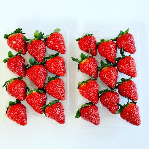 2022-12-18 14.17.00-1