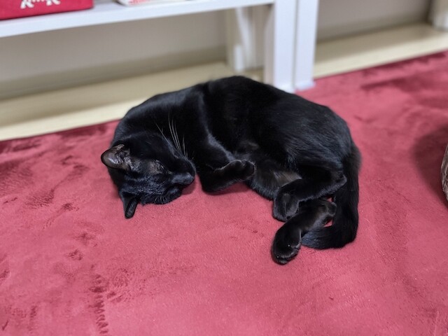 2021-04-13 23.44.24-1