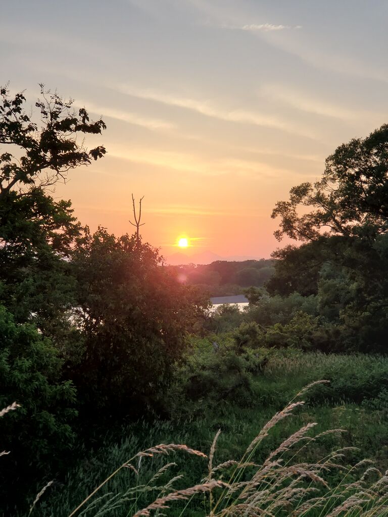 ６月の夕暮れの風景 総ては循環のなかに