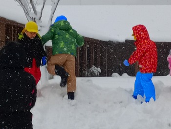 IMG_20260122_102721_1