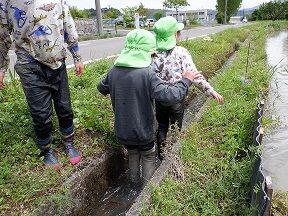 DSCF8636