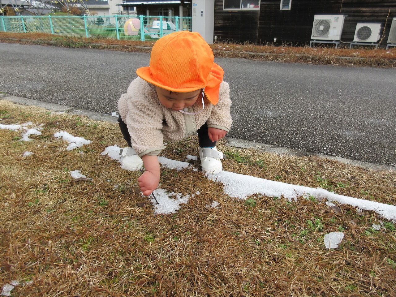心も体もすくすくと大きくなっていますよ 梅の里保育園写真日記 心も体もすくすくと大きくなっていますよ 梅の里保育園写真日記