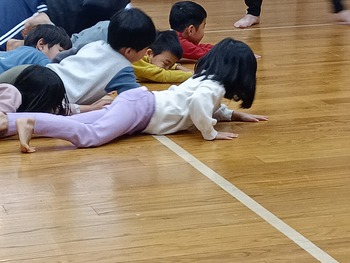 IMG_20260129_101722_1