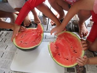 IMG_1754