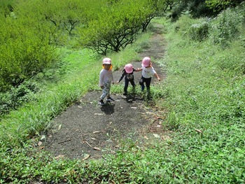 IMG_3901