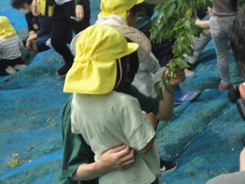 DSC03361