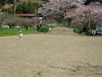 DSC05154