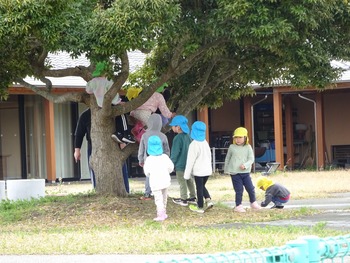 DSC04285