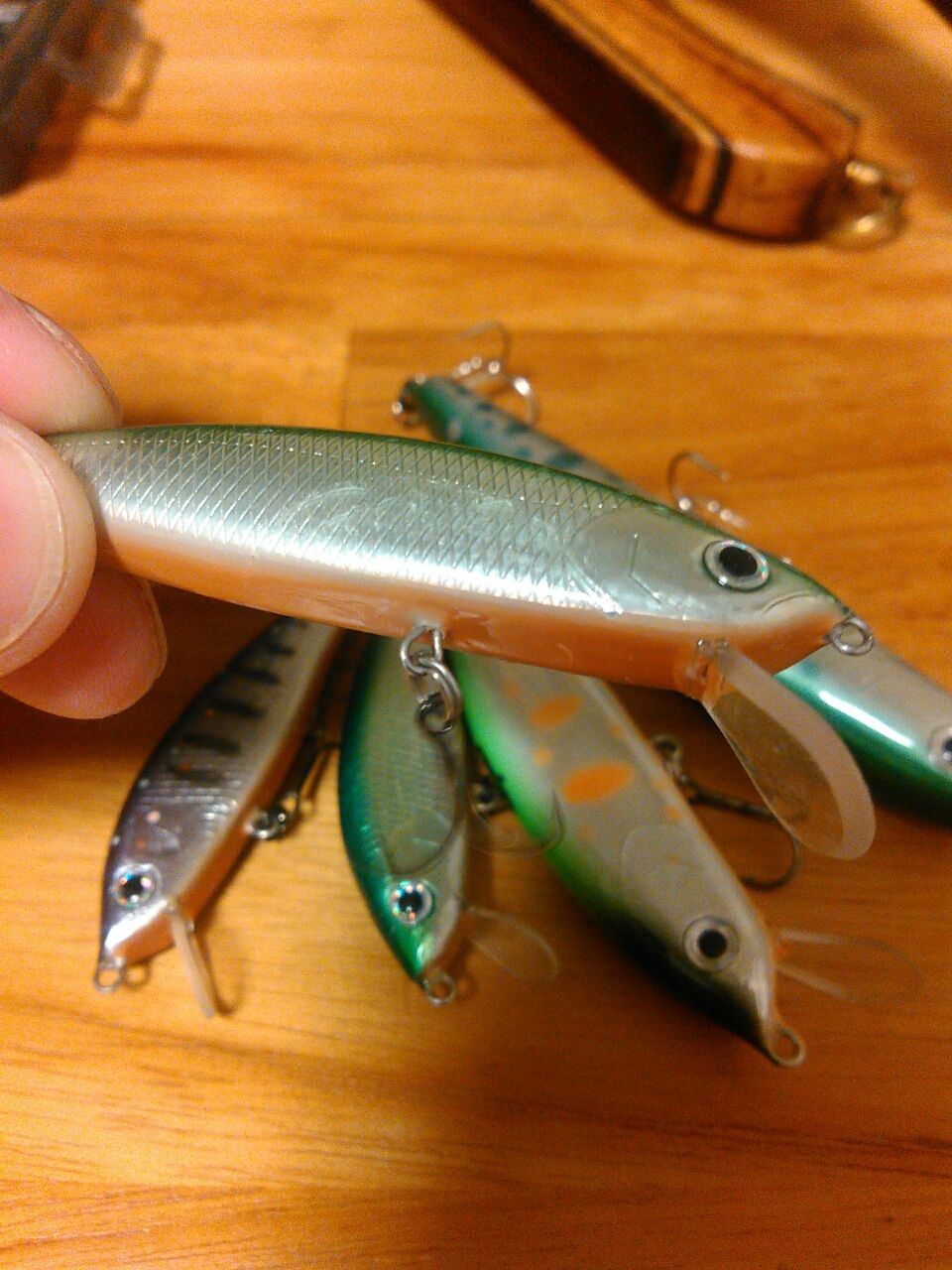 エビスthehop メタ ボリックのお魚日記