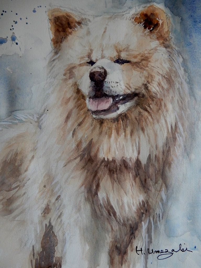 わさおという名の秋田犬です 梅崎秀夫の水彩画人生 わさおという名の秋田犬です 梅崎秀夫の水彩画人生