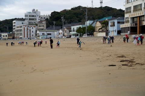 ウミガメ隊_篠島_2014-11-05 07-44-04