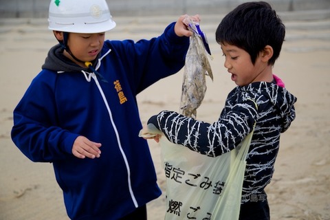 ウミガメ隊_篠島_2014-11-05 08-00-25