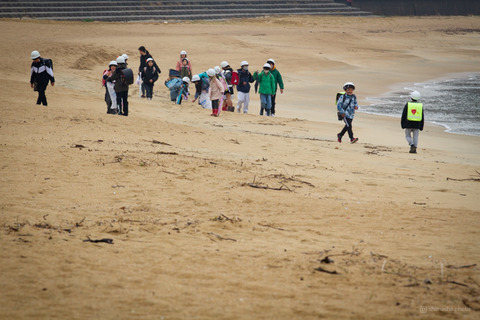 ウミガメ隊_20250312074803