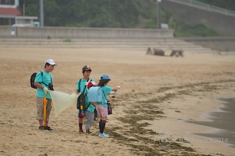 ウミガメ隊_ゴミ拾い_2014-06-04 07-39-37