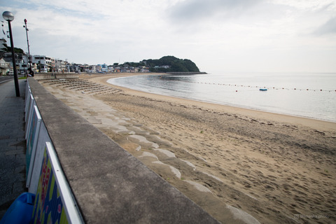 ウミガメ隊_20240717080445