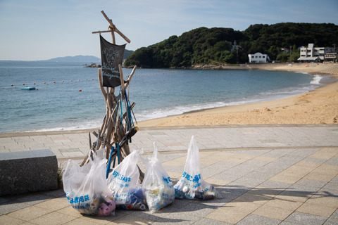 ウミガメ隊_20240821081700